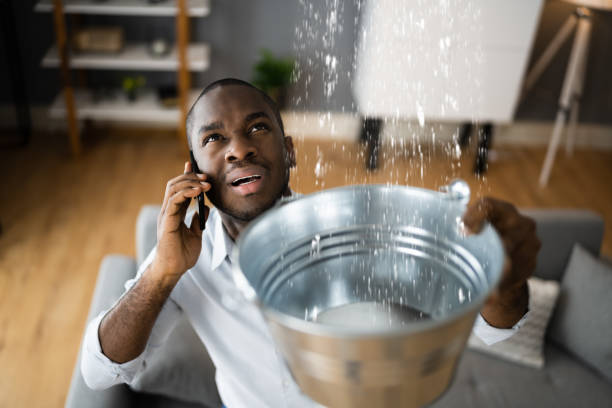 Best Water damage cleanup near me  in Central High, OK