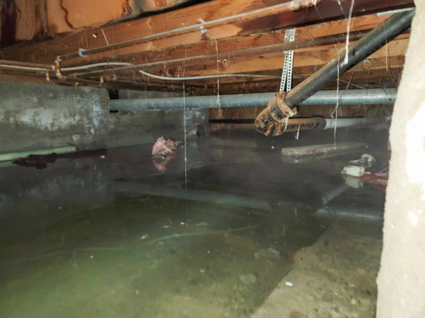 Best Local water damage restoration  in Central High, OK