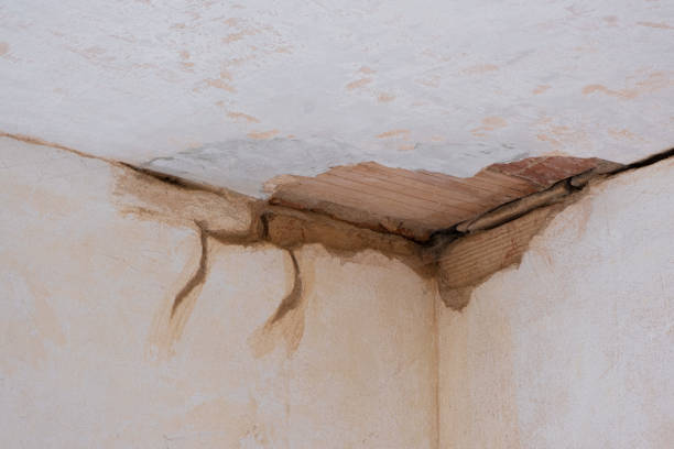 Best Professional water damage repair  in Central High, OK