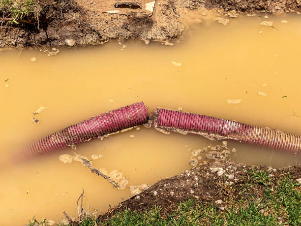 Best Water damage restoration near me  in Central High, OK